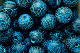 Blue Frost Achat Perlen
